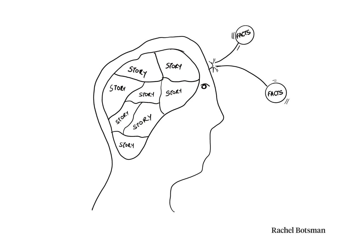 Cos'è la neuronarratologia - Illustrazione cervello e narrativa