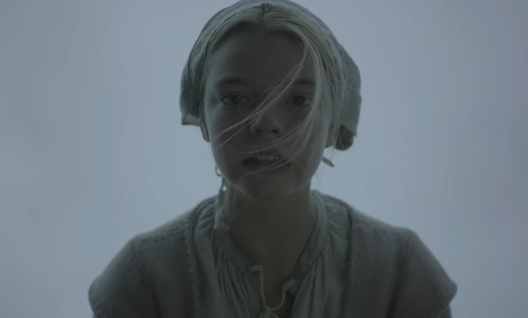 The Witch - Frame del film